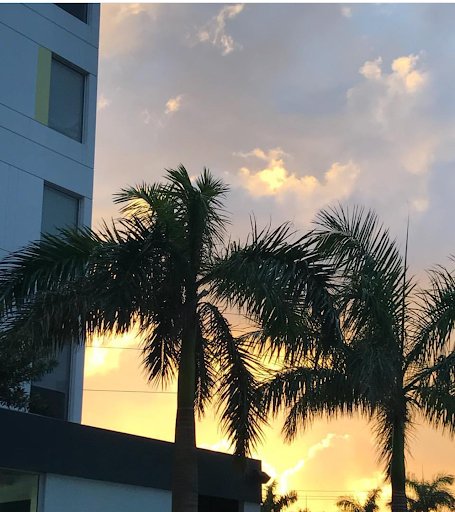AloftMiamiDoral's tweet photo. When the sun is about to hide, it is always better to view it from #AloftMiamiDoral 🌴🌞
........................
Cuando el sol está a punto de ocultarse, siempre es mejor verlo desde #AloftMiamiDoral

#LiveLifeAloft https://t.co/nRs9Nui4xE