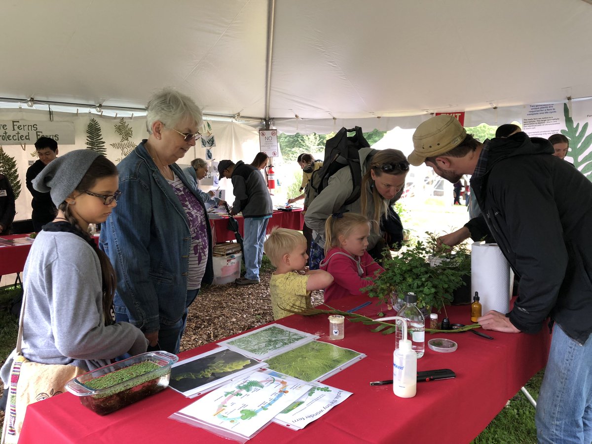 fern_way's tweet photo. we make sure #ferns and #hornworts are well-represented in Cornell Judy's day! @JMNelson101 #CornellBotany @CornellCALS @BTIscience https://t.co/W5WTdQEljF