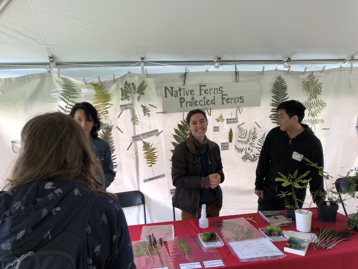 fern_way's tweet photo. we make sure #ferns and #hornworts are well-represented in Cornell Judy's day! @JMNelson101 #CornellBotany @CornellCALS @BTIscience https://t.co/W5WTdQEljF