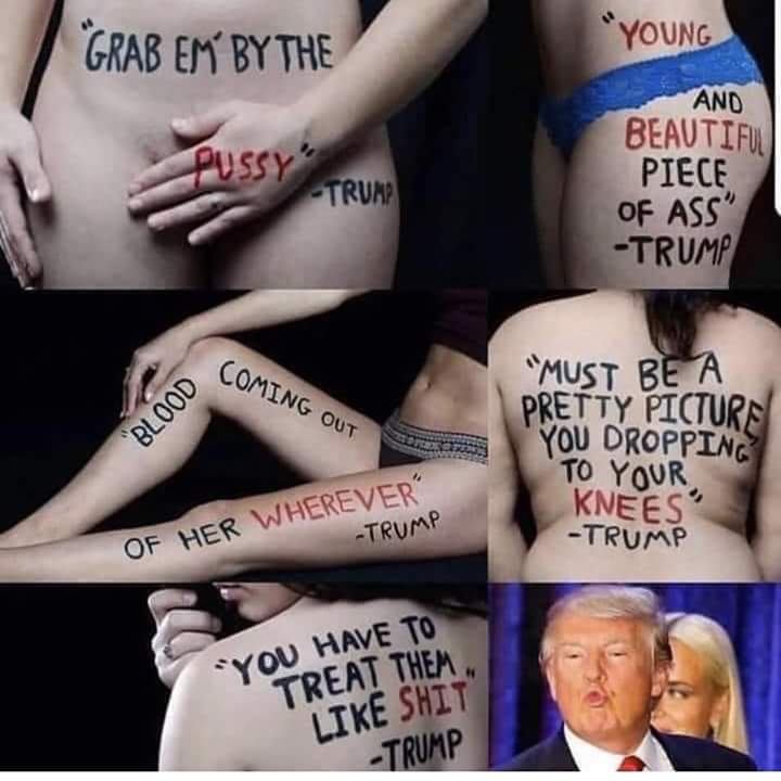 BigDaddyJ313's tweet photo. @realDonaldTrump How are you still in the white house? How are you not in jail? You are every bit of an asshole and I can't wait for the day your orange "grab them by the pussy" ass is impeached and removed. #BlueWaveComin #YouNeedJesus https://t.co/AE1Bod17Ku