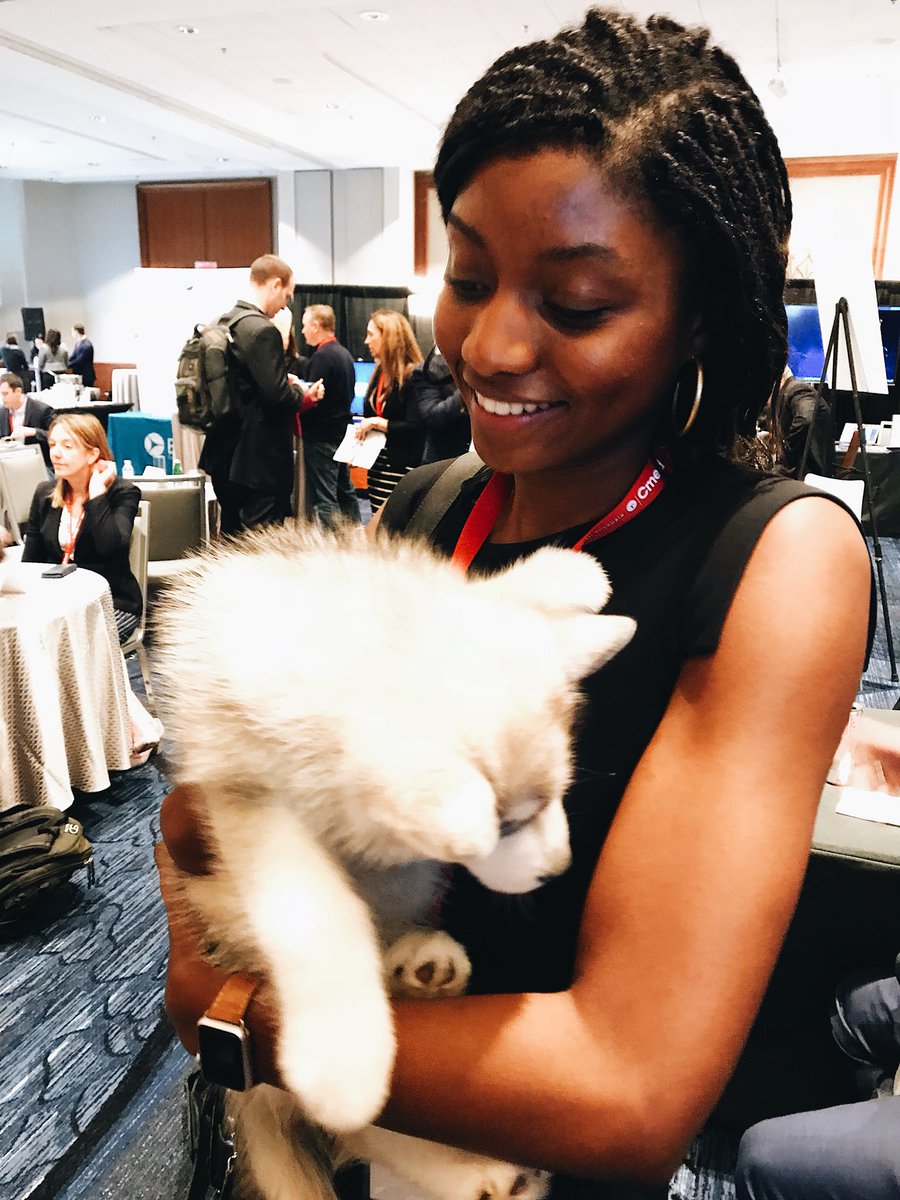 ntyravechiepet's tweet photo. Missing the @goBalto #pups from #dpharm2018! #clinicalreseach #boston https://t.co/UZY3o6uvnG