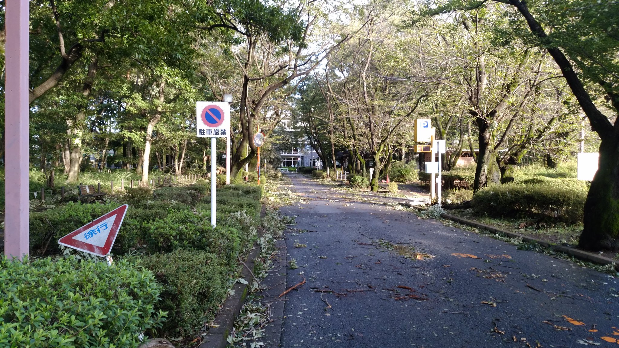 多摩北部医療センター On Twitter 院長の松本です 未明の台風すごかったですね 病院入口の通路も今朝はこんな感じになってしまいました たまほく 松本潤 院長 台風