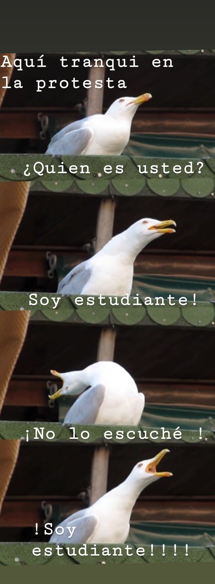 wcruzlopez's tweet photo. #MemetónPorLaEducación !Soy estudiante! https://t.co/tpY13bwo3J