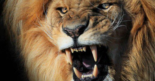 fc_genius's tweet photo. CyT contra cualquier facu. Pero contra Inge https://t.co/RmqZRE7rk7
