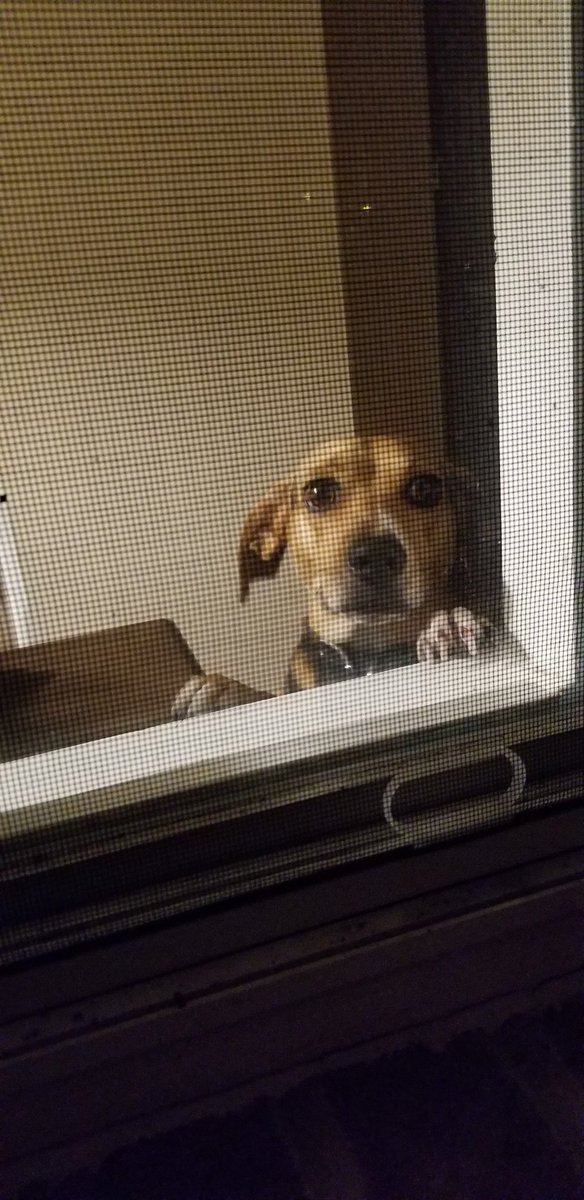 megschultz33's tweet photo. Very sad that we are outside and she is in https://t.co/evbzZtOAa4