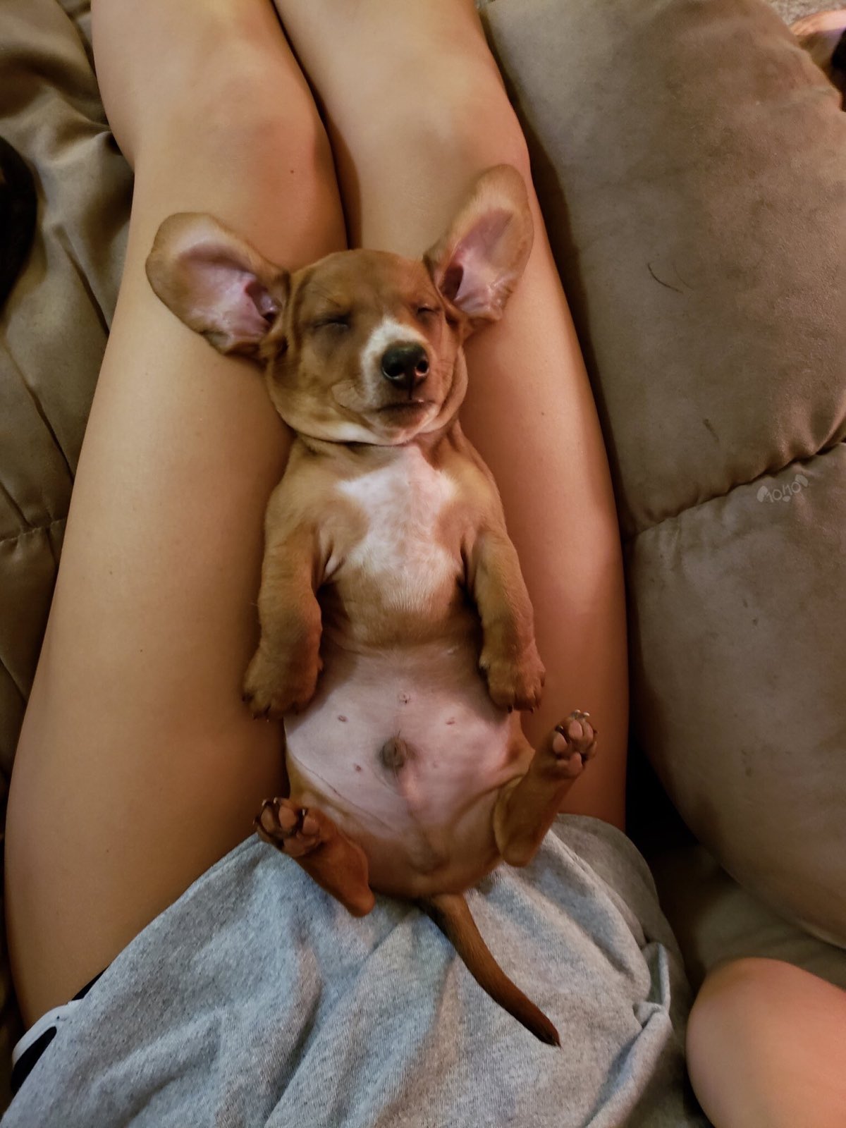 DoYjq9TXUAABYzd?format=jpg&name=large