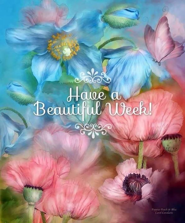 ElementalMagicC's tweet photo. May your week ahead be filled with blessings of health, strength, friendship, kindness and love ❤️
Blessed Be
#newweek #week #day #positivewords #positive #positivequotes #quotes #magicquotes #weekquotes #positivevibes #namaste #healing #inspieation #powerful #powerfulday https://t.co/oFjKRu3ro1