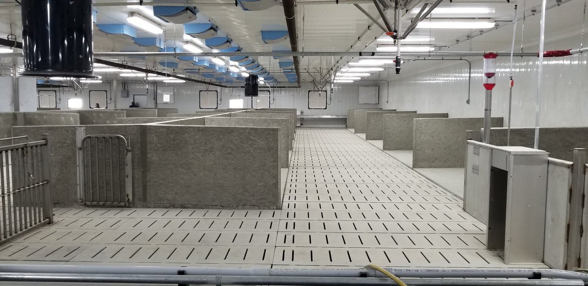 ParkviewPrecast's tweet photo. Congratulations to Wheatland Colony SK on the opening of their new state of the art hog operation. 👏 (that's some great looking flooring!) https://t.co/CJrLwj21TA