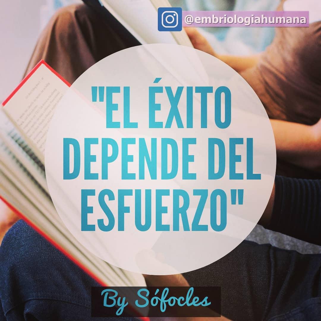 EmbrioFetal's tweet photo. ✏ Me encanta esta #frase y es oportuna para ⭐reconocer⭐ el esfuerzo, la constancia y dedicación de nuestros estudiantes de #embriologiahumana

¡Felicitaciones! 

¡Súper contenta con el aprendizaje alcanzado!😀

#estudiantemedicina #fmedluz #facultaddemedicina https://t.co/tzsCOPAV5J