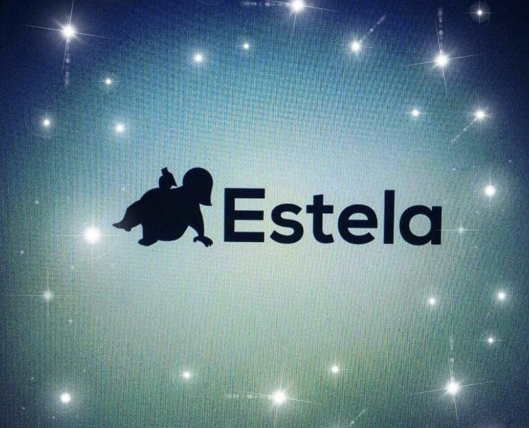 Hace días que venimos buscando a Estela, la editora de libros. La foto no salió muy bien, pero esa fue la última vez que la vimos. Ahí estaba, tirada, con un libro en la mano, y de pronto, pum, desapareció!