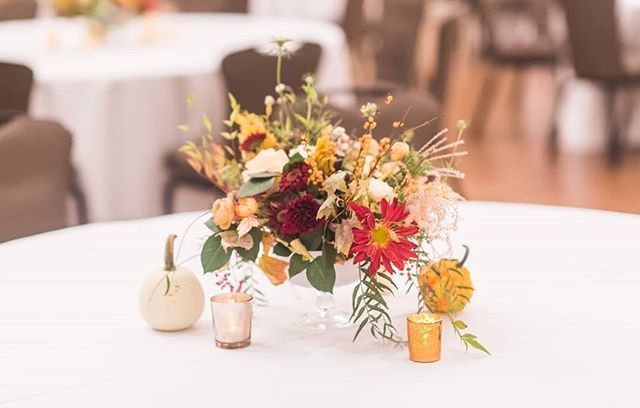 RentMyWedding's tweet photo. Swooning over these beautiful #weddingflowers! 💐 #rentmywedding || Amazing work by: Photographer + Planner: @creativeatheartconference | Rentals: @RentMyWedding https://t.co/fOFYjQdqqV