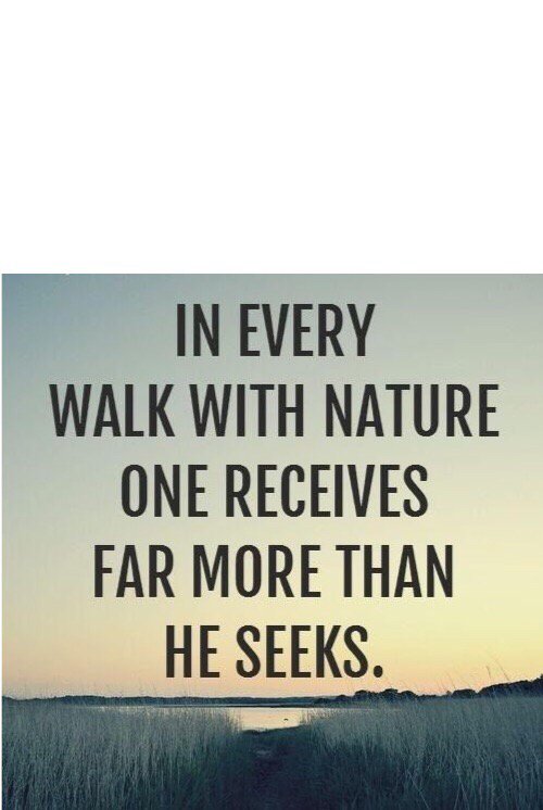 farmgardenbee's tweet photo. Where will you walk in nature this week? https://t.co/GunStBiKqI