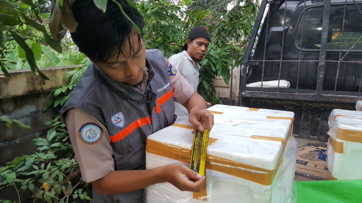 bppmhkp_pnk's tweet photo. 1/10 #OneHealthKIPM Semangat Pagi dalam Cek Ulang Komoditi Ikan Hengli 3750 ekor, Rasbora Brigite 7000 ekor, 3 koli yang akan dilalulintaskan Ke Jakarta @HumasBKIPM @BKIPMJakartaI @rinajanwar2201 @kls_i @KangIwan76 https://t.co/QZQA4PR9rz