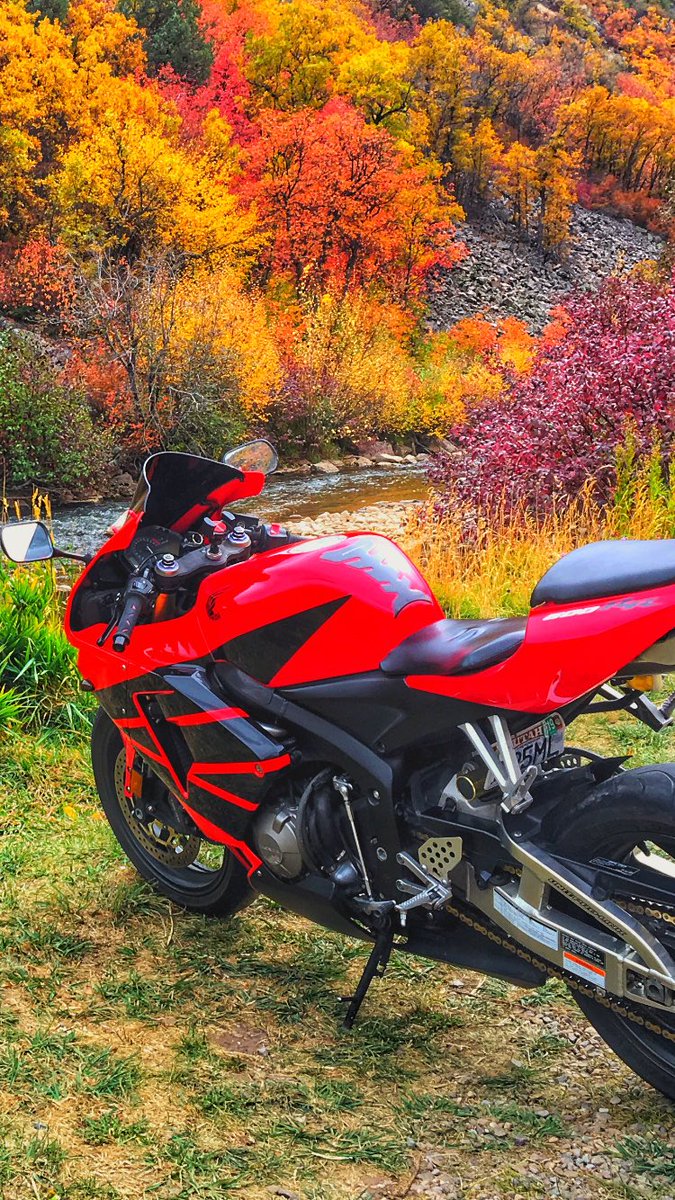 waterfowlerDave's tweet photo. Fall rides 😍 ft. The new bike 💦 https://t.co/TanZ6O7wIR