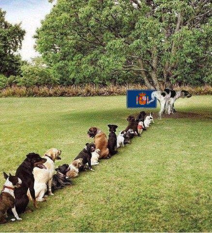 Avui fa un any ens tenieu, puntuals, fent cua per votar i protegint els col·legis.