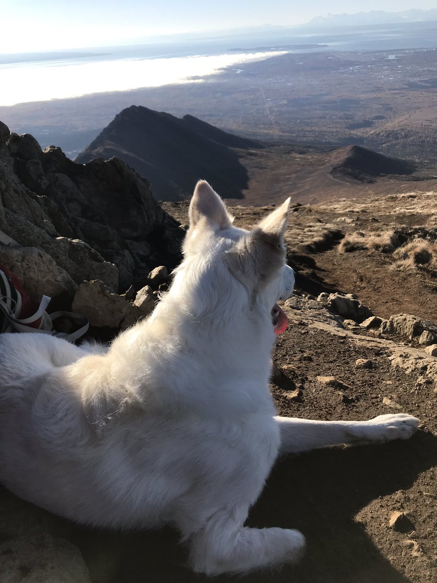 tripawdsnowball's tweet photo. Big accomplishment today! Hiked #Wolverine peak in the #Chugiak range. Did the first 3-4 miles #threelegged and the last 4-5 with my #leg on! 😊 took a leg break at the top and my leg only popped off twice total. It’s a #good day to be an #amputee #firstsummit in years https://t.co/TEpKOIKlyC