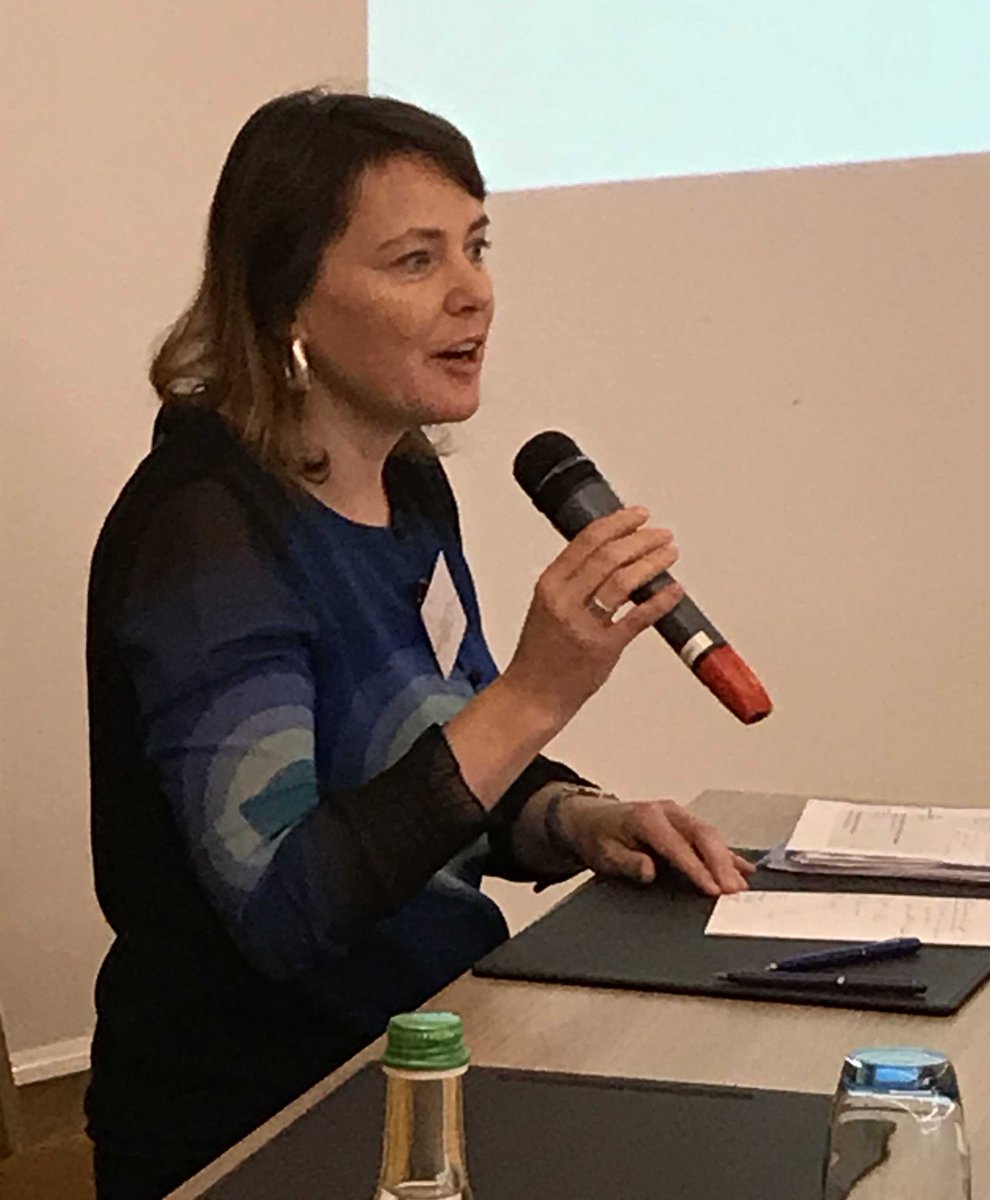 ICPDplus25's tweet photo. CSO Consultation panellist An Huybrechts. #csoconsultation https://t.co/lsttnSOheV