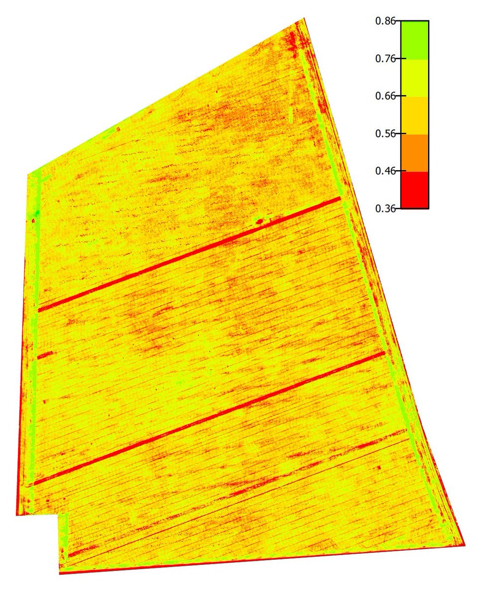NestorDileo's tweet image. Monitoreo de #Trigo mediante #NDVI con #eBeeSQ de @sensefly y @ParrotB2B procesado en @pix4d @Pix4D_AG Poca variación entre fechas por falta de agua, igual se marcan 3 ambientes.. #uav #AgTech #precisionag @HYoungGEO @josemmsenseFly @geosistemassrl