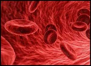#AcquiredHemophilia #Levofloxacin #medicine @JAMAInternalMed @NatureMedicine @EMA_News @umichmedicine @LancetRespirMed A case of Acquired Hemophilia induced by Levofloxacin - Speciality Medical Dialogues