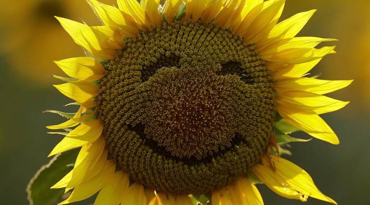 What's your happiest song?
