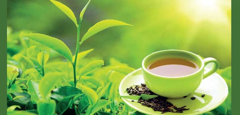 #Tea #industry should benchmark itself: Commerce #secretary
bit.ly/2QeWqkb
<a href="/HospiBuz/">HospiBuz.com - Hospitality Lexis</a> #Hospitality #Beverage #Business