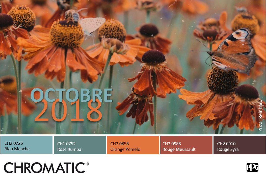 chromaticstore's tweet photo. [Octobre – Eté indien] Vous aimez les ambiances feutrées des bleus grisés ? Gagnez en luminosité et convivialité en leur associant une touche tendance d’orange ou de rouille. Retrouvez toutes les couleurs du nouveau nuancier CHROMATIC dans votre magasin https://t.co/k4tV81oPoC https://t.co/ZzWVkSzinJ