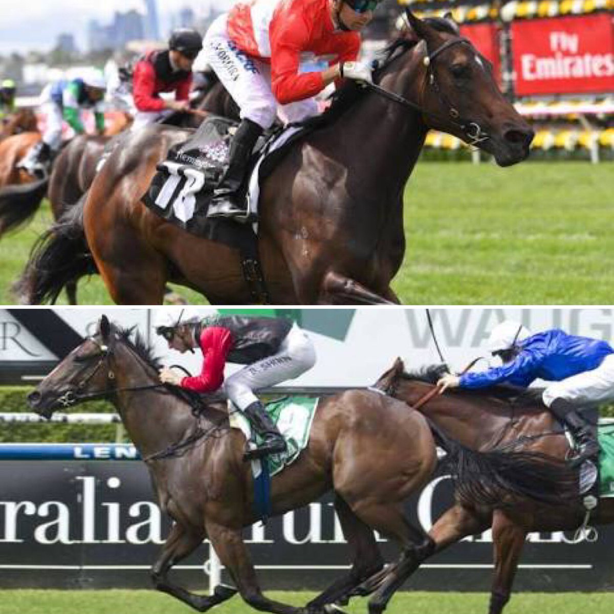 brillianceracin's tweet image. #English and #InvincibleStar are both in doubt after it has been reported that they are suffering from some foreleg lameness. This now places some serious doubt on their Everest chances. There are plenty of nervous slot holders and owners at present. Best wishes to all.