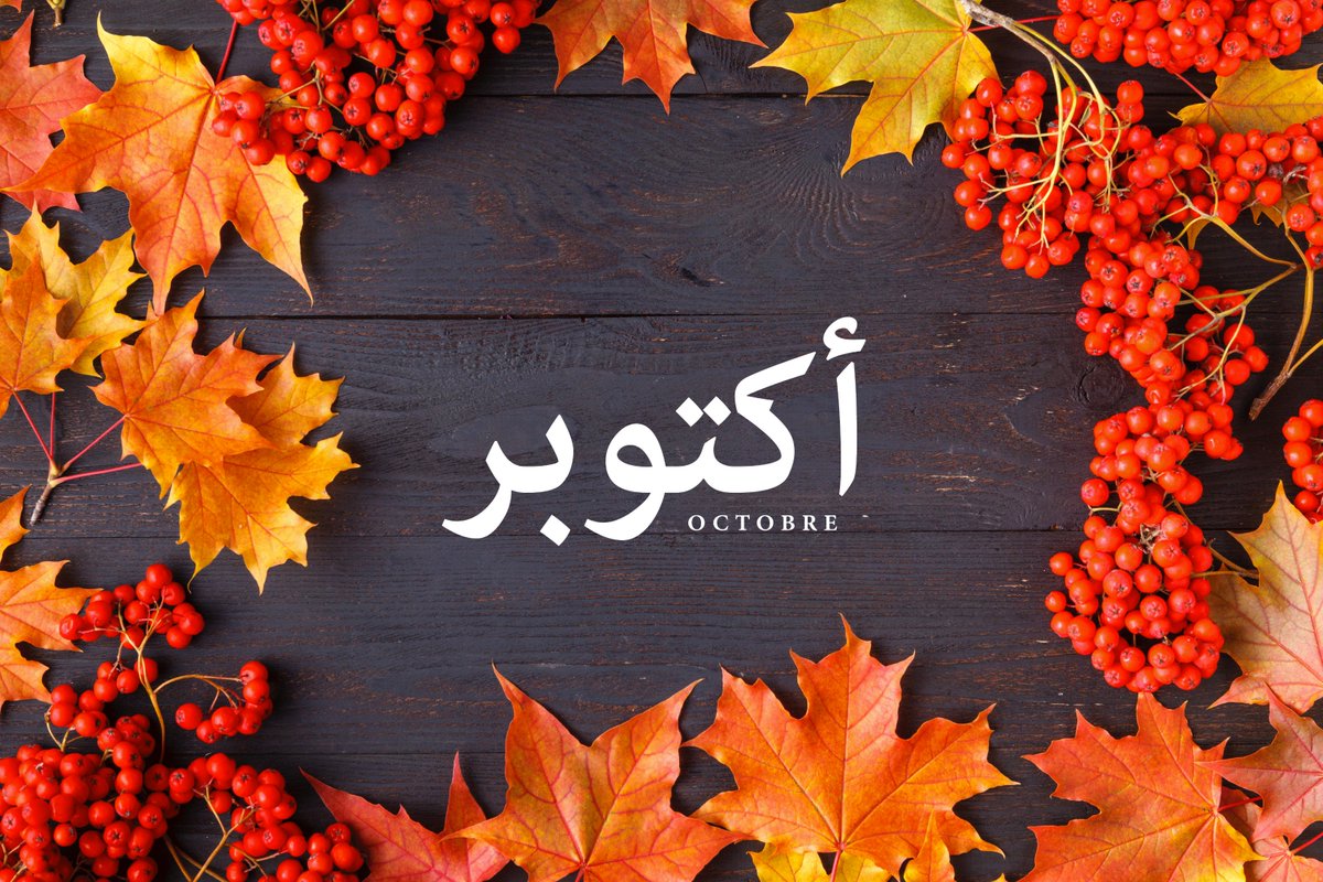 Fassaha's tweet photo. #octobre #fall #automne #welcome #marhaba #أكتوبر
 #مرحبا https://t.co/GiBGqK1gi6