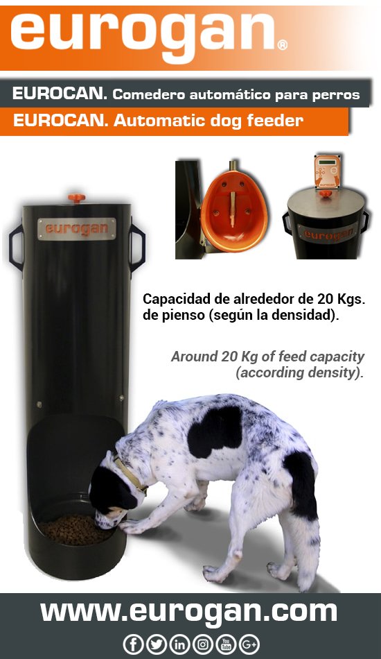 ✅ goo.gl/v5HWhd 🌐 eurogan@eurogan.com
Comedero automático para #perros / Automatic #dog feeder
#ganaderia #livestock #EUROCAN #eurogan