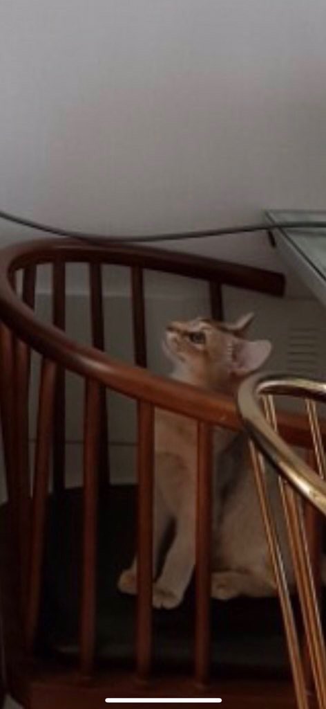 I want to climb up too:c