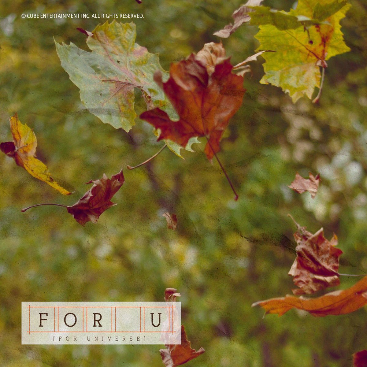 CUBE_PTG's tweet photo. FOR U (FOR UNIVERSE)
Coming soon 🍁

#펜타곤 #PENTAGON
#FOR_U https://t.co/reqyaEQ3iG