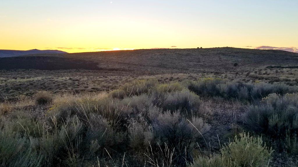 GrasslandNerd's tweet photo. I live in a #rangelands themed postcard now! #rangenerd #rangelands365 #EasternOregon #sagebrush https://t.co/Gp5SN4aEr4