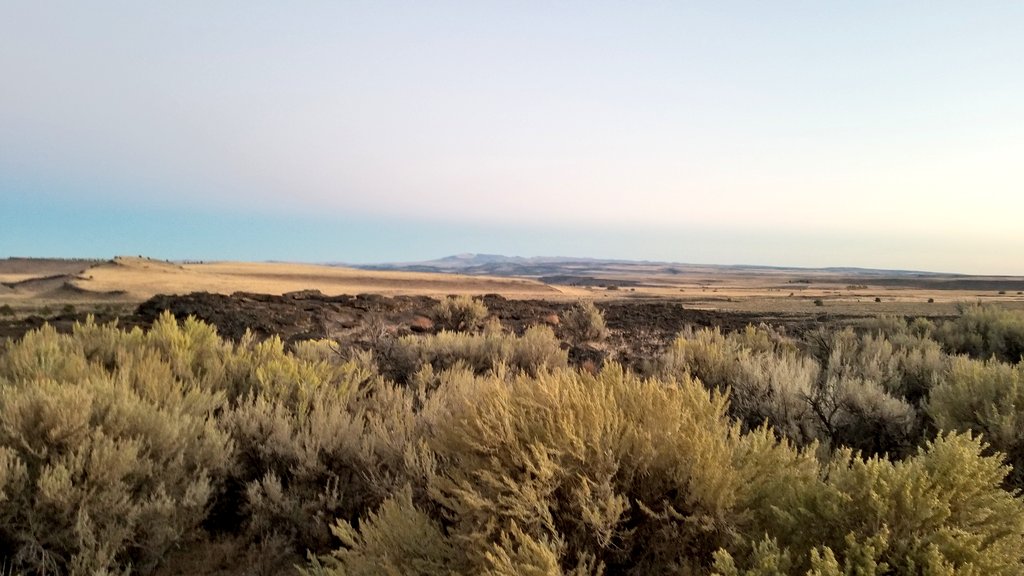 GrasslandNerd's tweet photo. I live in a #rangelands themed postcard now! #rangenerd #rangelands365 #EasternOregon #sagebrush https://t.co/Gp5SN4aEr4