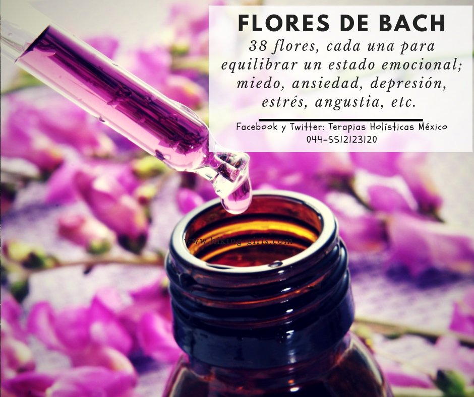 SANARTEByNancy's tweet photo. Las #FloresdeBach nos sirven para equilibrar nuestras emociones. https://t.co/VC83Viw29p