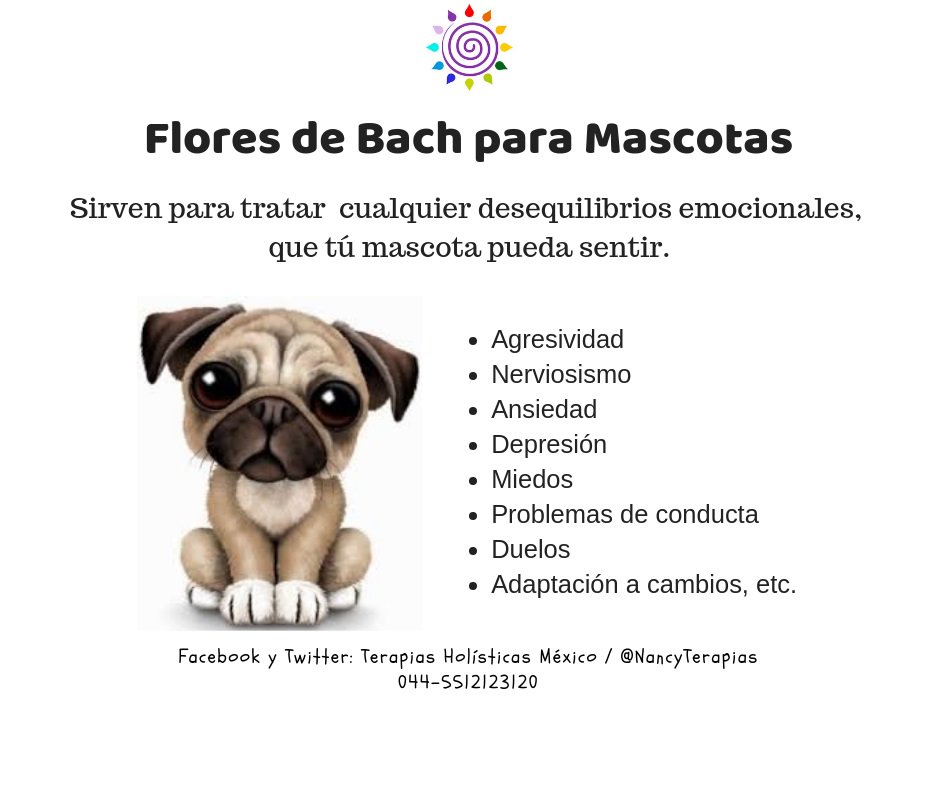 SANARTEByNancy's tweet photo. #FloresdeBach, para esos seres de quinta dimensión que su misión es ayudarnos a evolucionar.... https://t.co/pErldCXiun