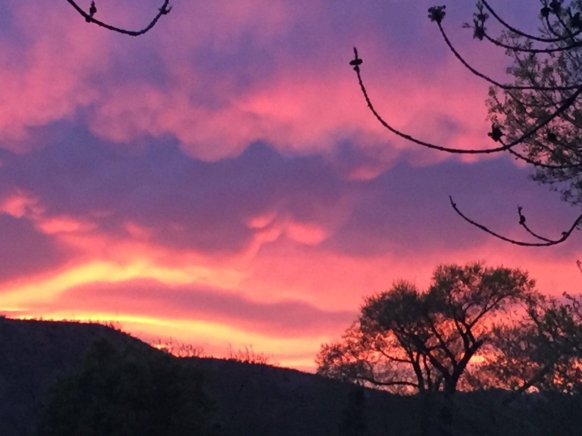 sandyferrell20's tweet photo. So many beautiful moments!  “Free gifts from the universe,” Annie Dillard https://t.co/qrXF2nQeng