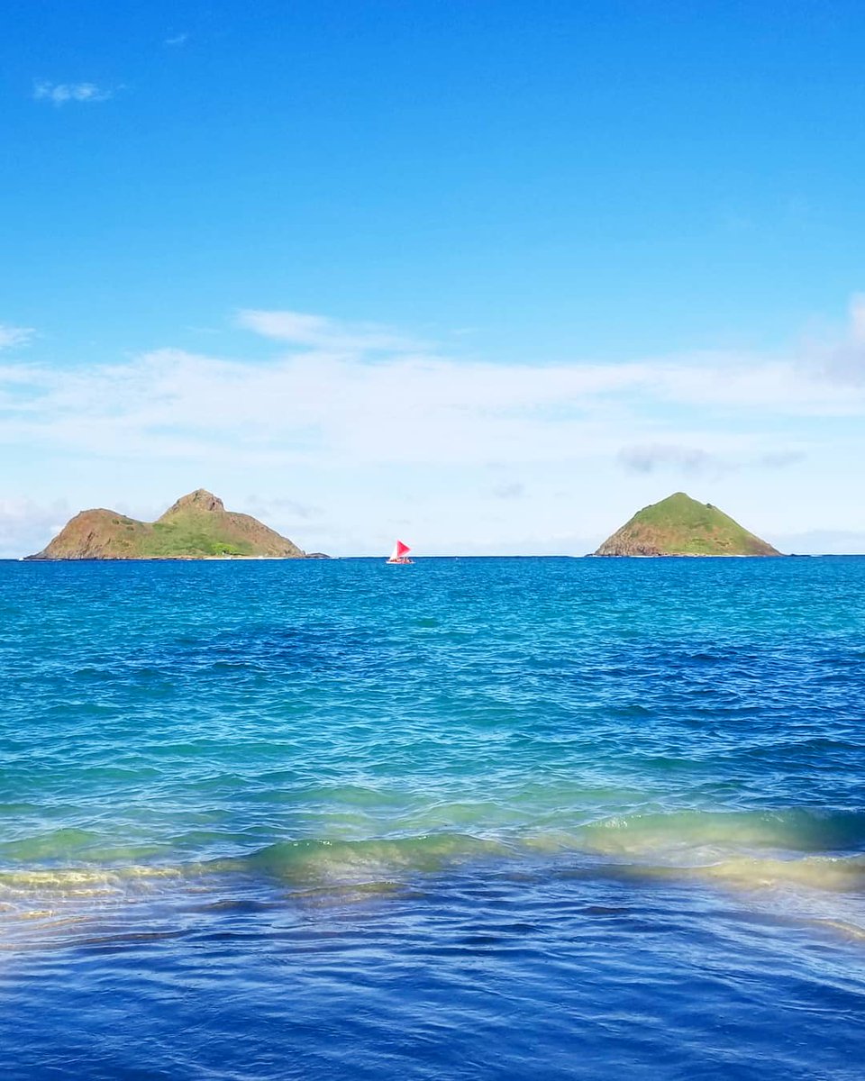 NoniPuna's tweet photo. This weekend sailed by way too fast!⛵
#backtowork #mokuluaislands #weekendshenanigans #lanikaibeach #punanonihawaii
#プナノニハワイ #オーガニック #organic #locallyprinted #hilife #808 #madeinhawaii #vegan #crueltyfree #aloha #hawaii #punanoninaturals #punanoni #nonialoha #kawaii https://t.co/vezNua6ien