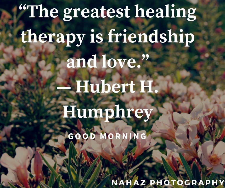NahazPhoto's tweet photo. #MondayMotivaton #Monday #goodmorning #Inspiration #MotivationMonday https://t.co/LPsIHGRQhn