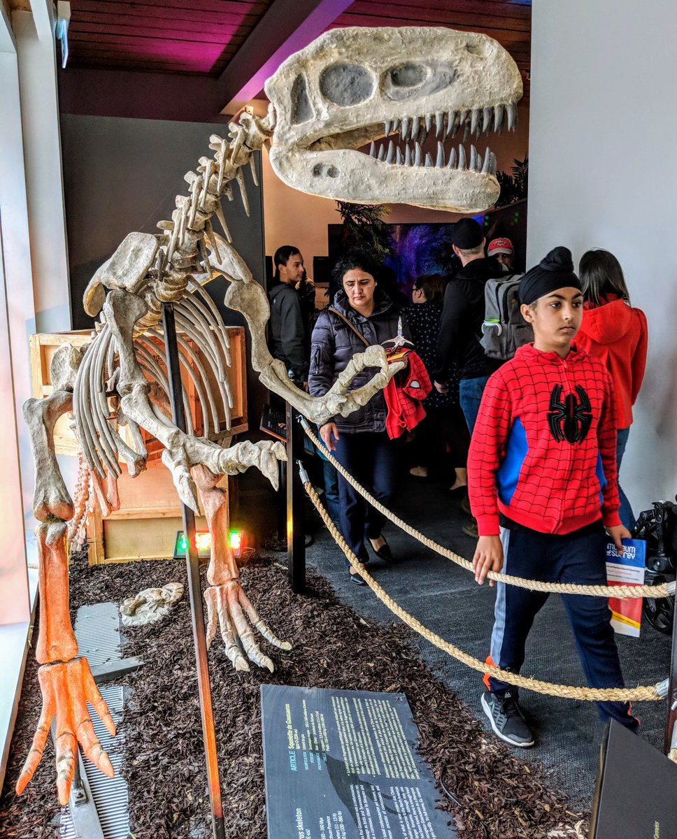 YouTravel's tweet photo. Hey! Over here! Make no bones about it the multi -million Museum of Surrey expansion
drawing crowds #dinosaurs #surreybc #museumofsurrey #tmacca #explorebc https://t.co/9C7IZAET34