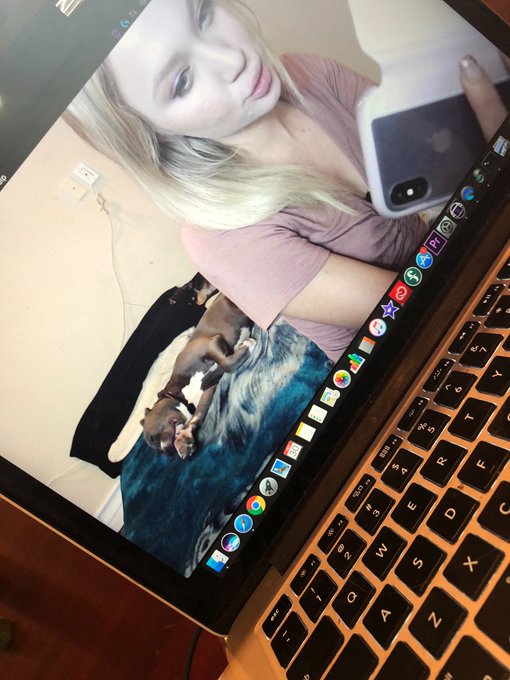 The dogs think this is a game lol https://t.co/floST8ye1h<a href="/tag/xxx"class="tags"><span>#xxx</span></a><a href="/tag/dakotaskye"class="tags"><span>#dakotaskye</span></a>