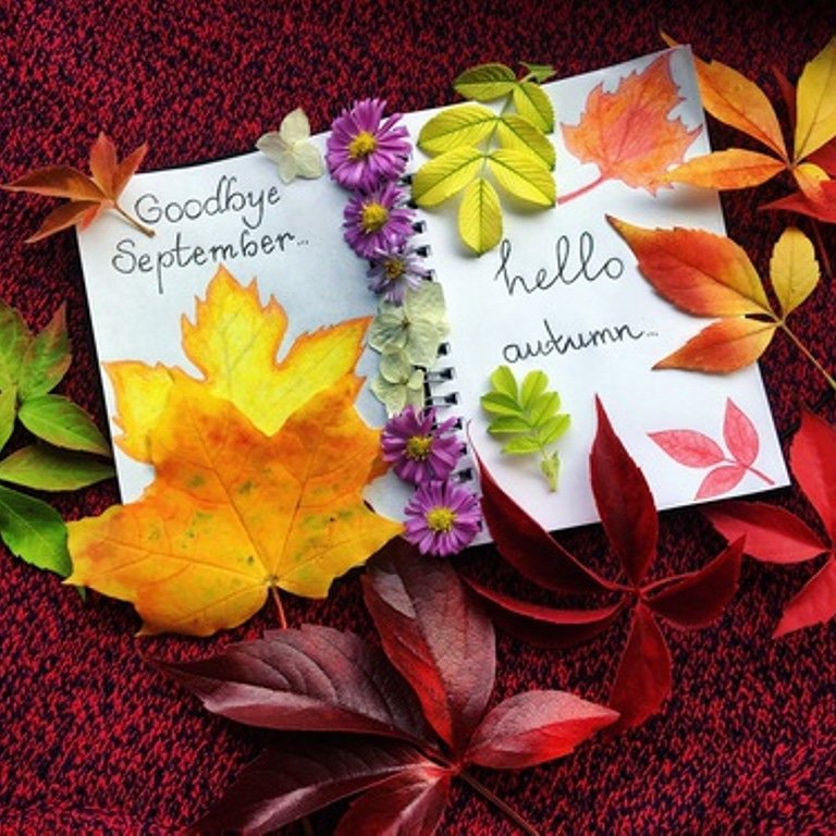 Hello October...,
Good to Everyone.
