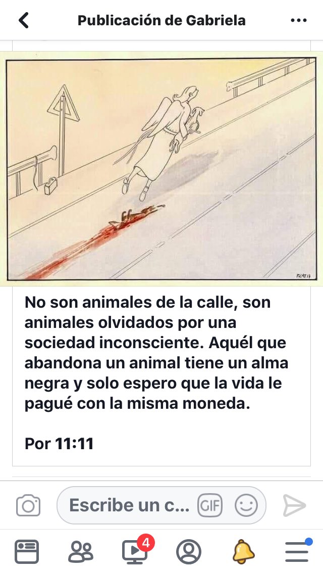 VenyGabriela's tweet image. Por favor seamos responsables, si no te gusta el pelo en tu ropa, pagar comida de otro ser vivo entonces no tengas animales , no está mal que no te gusten lo que está mal es que no te gusten y aún así tengas y luego los abandones se consciente y si aún sabiendo lo haces #pendej@