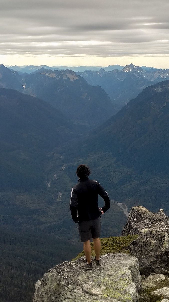 adam_on_line's tweet image. 