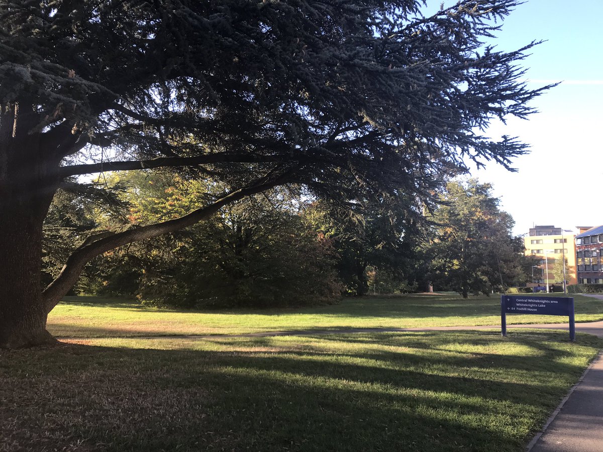 enzadipotenza's tweet image. What a day to start the academic year! #firstdayofteaching @UniRdg_ModLang @UniofReading