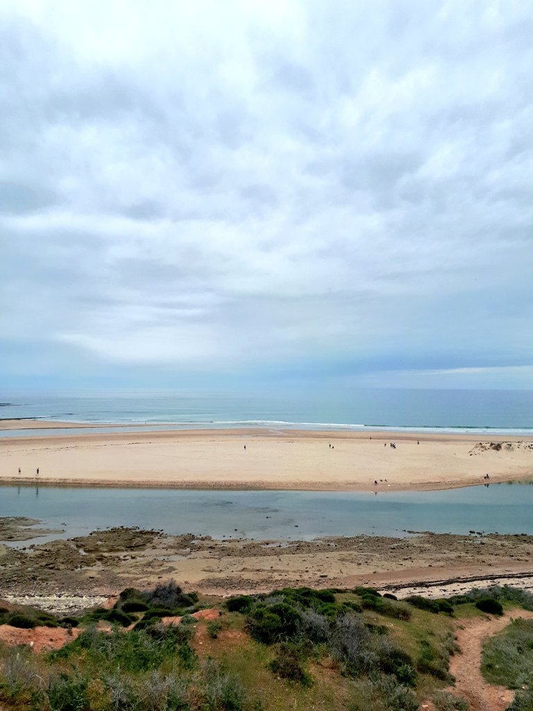 ReneCampbellArt's tweet photo. Fieldwork at the office today! Given it's a public holiday lots of people were about and asking about my crab research (I probably chatted to over 20 people and children today).

#marinebiology #carcinus #science https://t.co/rAxNaWXWYE