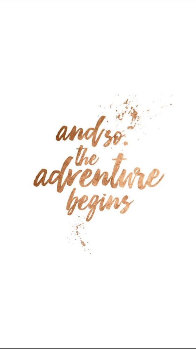 Alexandra Brunner tweet media