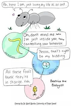mcgraw2's tweet photo. The interactions between bacteria and animals need to be introduced in first year biology curriculum so students can understand how important bacteria truly are! I found one of your cartoons on google images, you're famous Doc! @markowenmartin #BIO350 #GivingMicrobesTheirDue https://t.co/DGlhj4TX7G