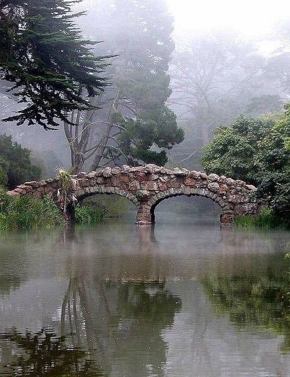 DrNikolova_Rumi's tweet image. 🍂🏵 Hello October 🏵🍂