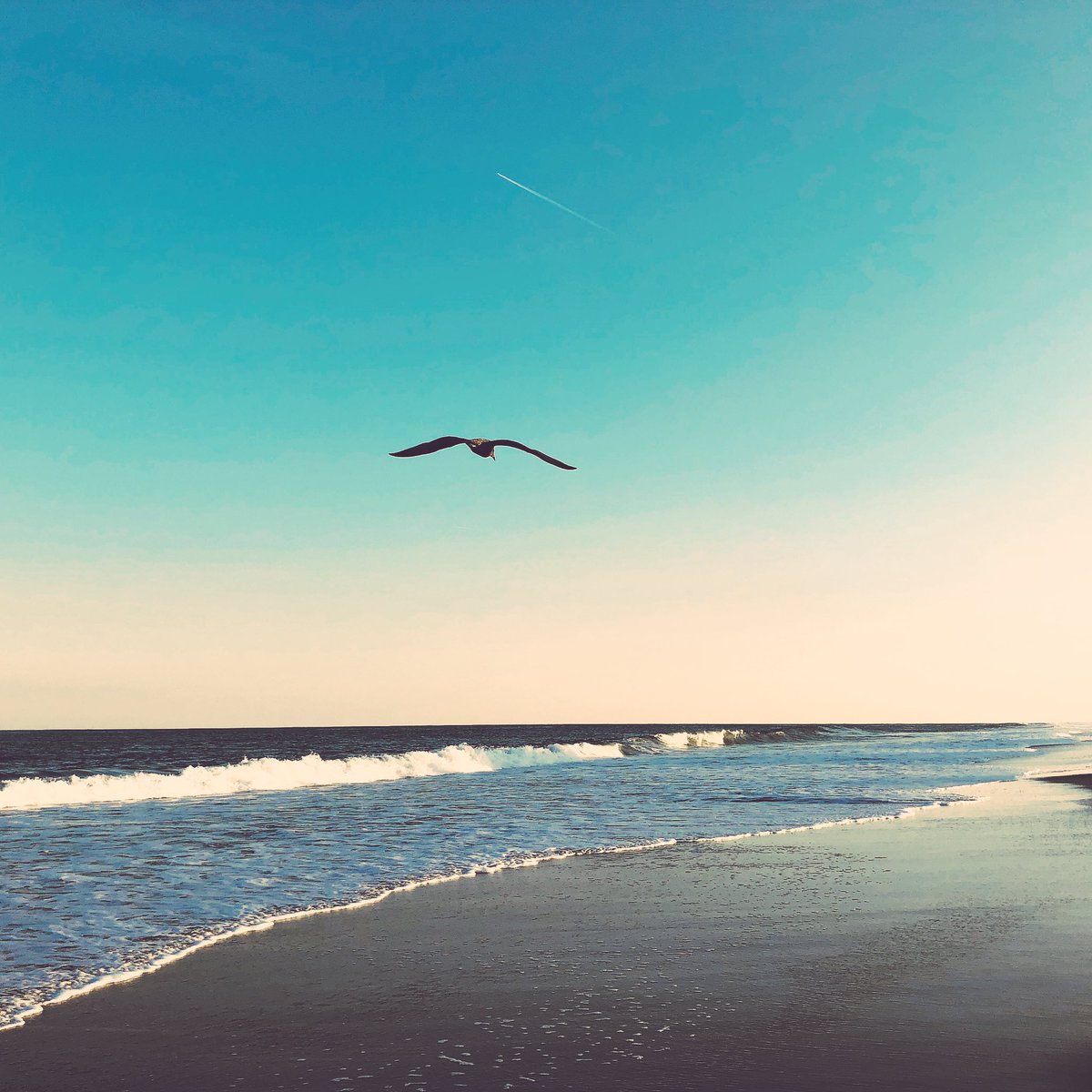 shukrikhan's tweet photo. How beautiful must the creator be of this beautiful ocean! How mighty He must be, the creator of this powerful water? How grand, how glorious, how wonderful must He be! #alhamdulillah #gorgeousocean #Allah #creatorofallthings #iphonephoto #iphonephotography #photography https://t.co/XNJDk8MwKb