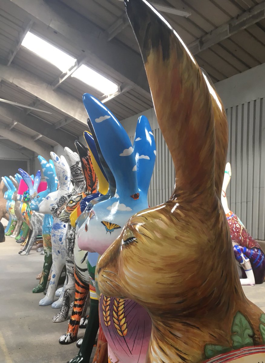 GoGoSafari tweet media